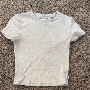 Aritzia - TNA Gray Short Sleeve Baby Tee